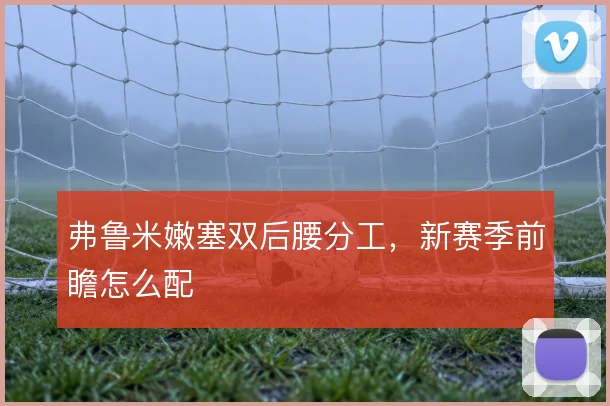 弗鲁米嫩塞双后腰分工,新赛季前瞻怎么配