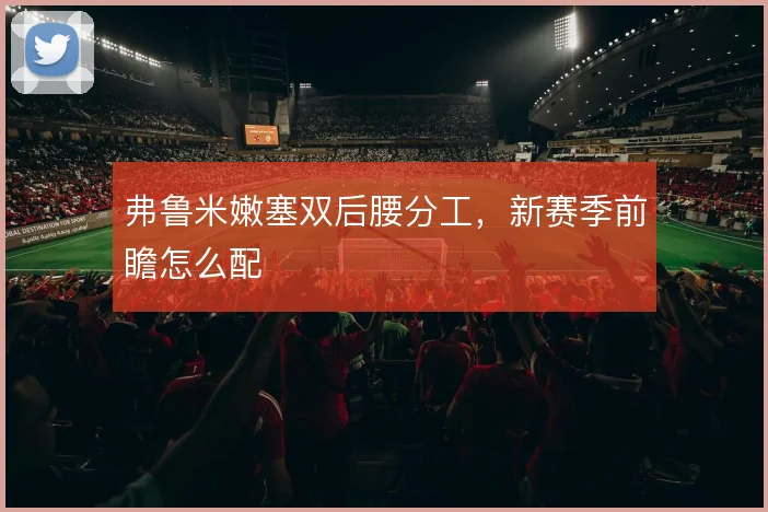 弗鲁米嫩塞双后腰分工,新赛季前瞻怎么配